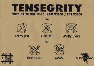 Tensegrity