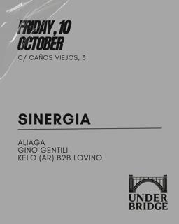 Sinergia X Under Bridge