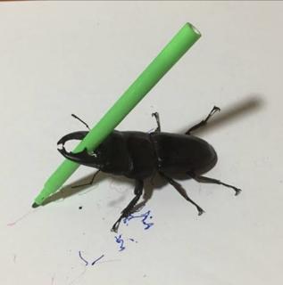 Bugparty 2025