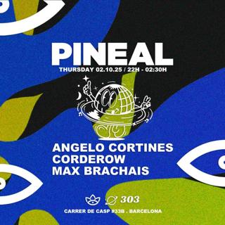 Pineal Invasion @ 303 Audiophile Bar