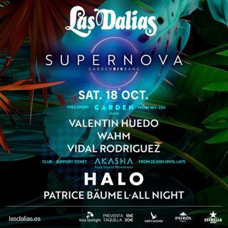 Supernova X Halo