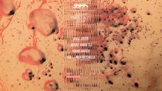 Basses Fréquences: Young Marco, Mount Kimbie, Gogo Green