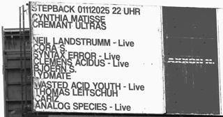 Vinylschleifer Stepback