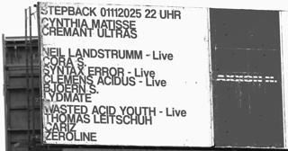 Vinylschleifer Stepback