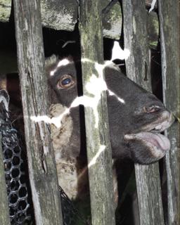 Exit Club: Halloween