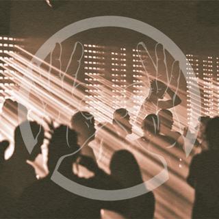 Cartulis January Edition