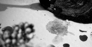 Macadam X Symbiose • Pentagon ~ Zaarba