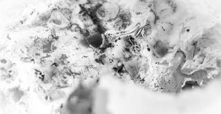 Macadam X Confluence • Klåra ~ Löwin