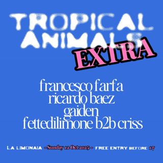 Tropical Animals Extra