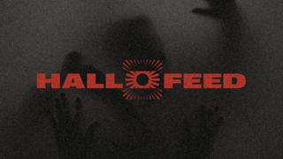 Hallo_Feed