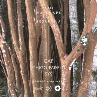 Wallmapu + Besarabia Pres. Cap (Ro)