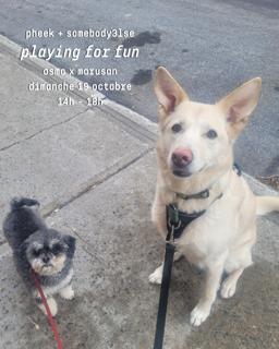 Playing For Fun