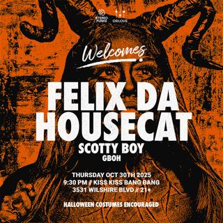 Felix Da Housecat In L.A