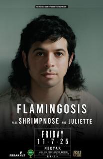 Flamingosis With Shrimpnose And Juliette