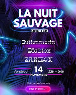 La Nuit Sauvage