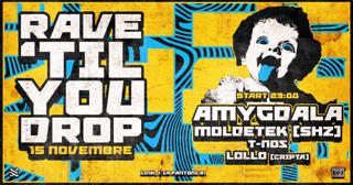 Rave 'Til You Drop