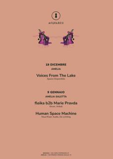 Voices From The Lake // Acquario (Amelia)