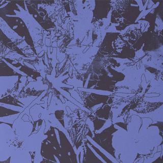 Plants Heal ~ 'Forest Dwellers' Album Launch