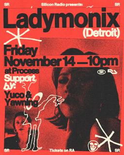 Silicon Radio Presents: Ladymonix (Detroit)