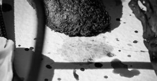 Macadam X Frog Attack • Yomonara ~ Kasar ~ Mota