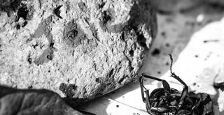 Macadam X Parhélie • Guibzÿ ~ No Whr