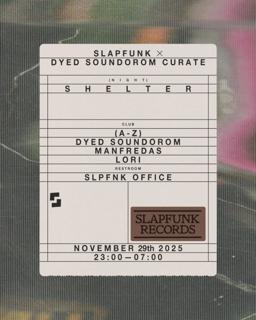 Slpfnk X Dyed Soundorom Curates - Shelter (Night)