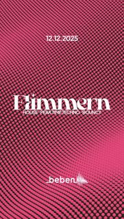 Flimmern: Lisa Vankha · Soolver · Winksalot · Critical Error (Visuals)