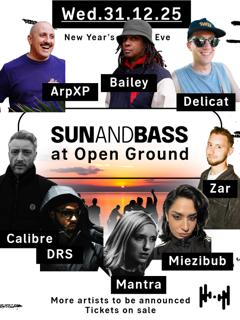 Sunandbass Nye