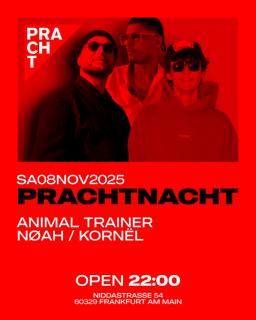 Prachtnacht With Animal Trainer, Nøah, Kornël