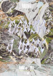 Palidrone: Dansa & J Wax