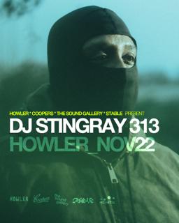 Dj Stingray 313 (Detroit, Usa)