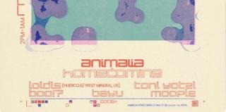 Animalia Homecoming With Loidis