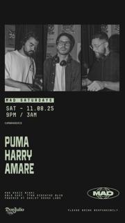 Mad Saturdays / Camaraderie