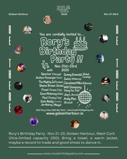 Rory'S Birthday Party
