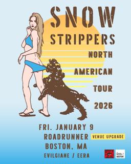 Snow Strippers