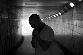 Stamina Presents Ant Tc1