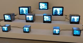 Cosmico ̸ December ̸ Wpo