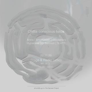 Chitta - Conscious Fields