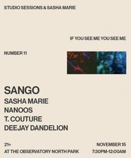 If You See Me You See Me