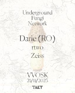 Underground Fungi Network Iii