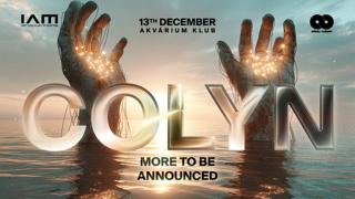 Colyn (Afterlife) 12/13