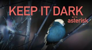 Keep It Dark