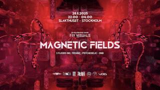 Magnetic Fields /  2 Floors - Techno - Psychedelic - Drum&Bass