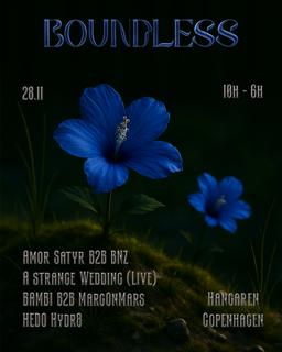 Boundless X Bambi / A Strange Wedding (Live) / Amor Satyr & More