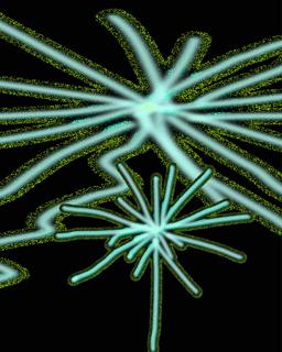 Fi = Altshift 5 = Neu 2026