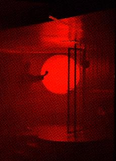 Healthy & Exit New Years Day