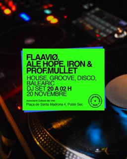 Flaaviø & Friends