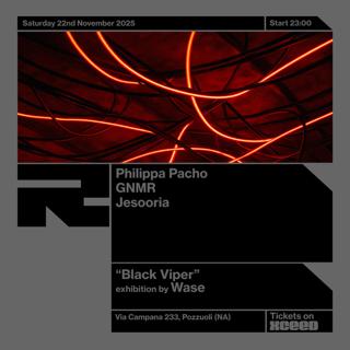 Philippa Pacho + Gnmr + Jesooria + Wase Opening Exhibition