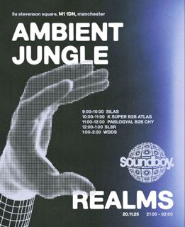 Soundboys Ambient Jungle Realms