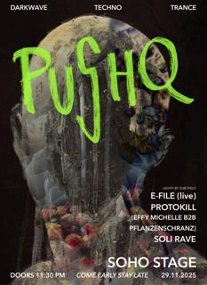 Pushq Invites E-File (Live)